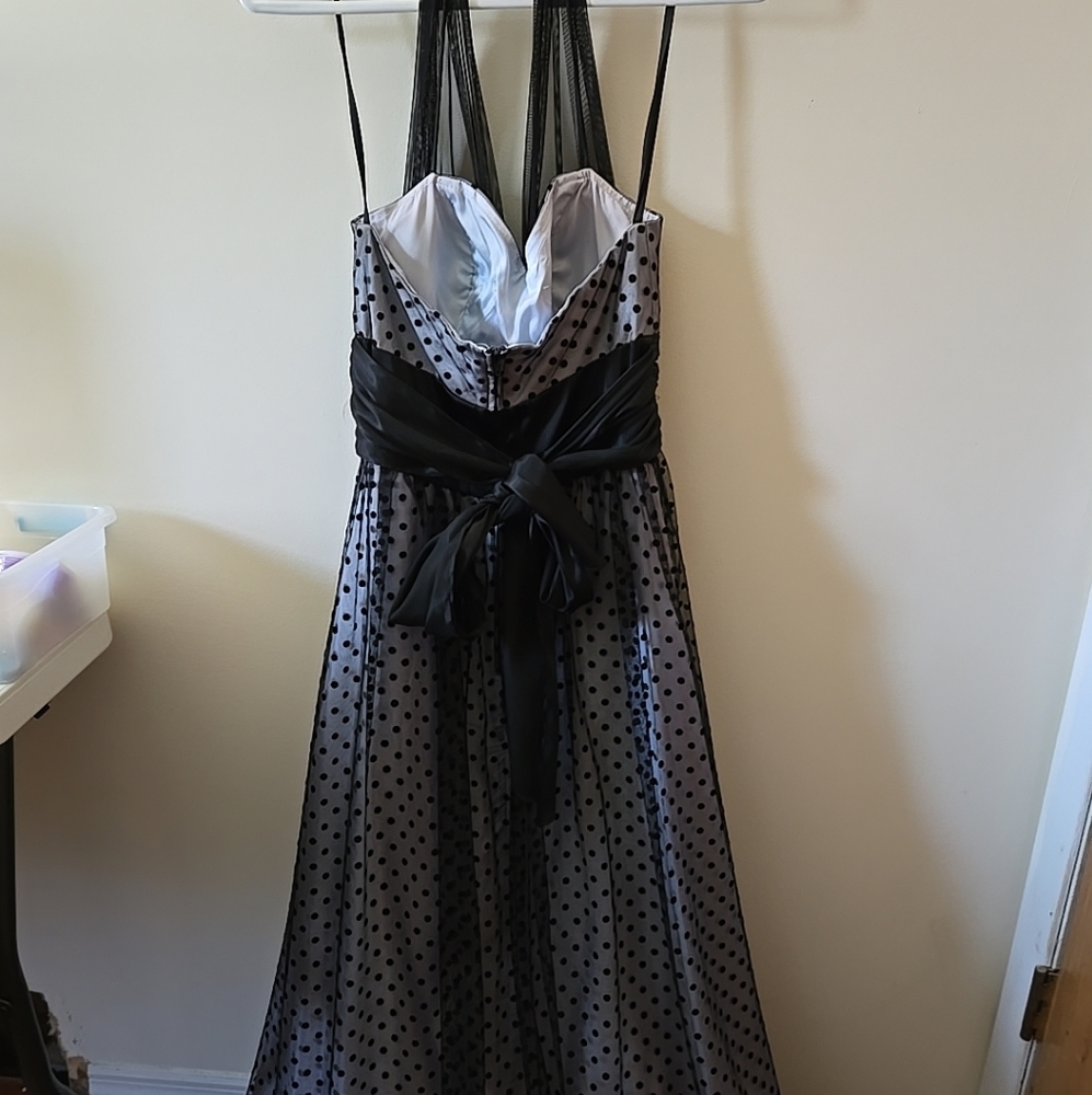 Blue With Black Polka Dot Sheer Overlay Dress